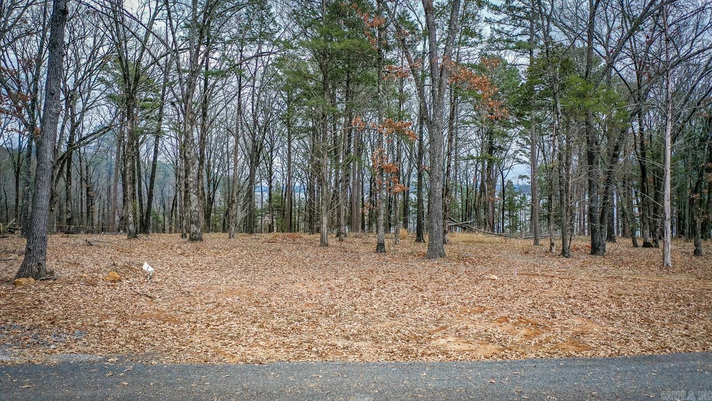 SHILOH LANDING - Land