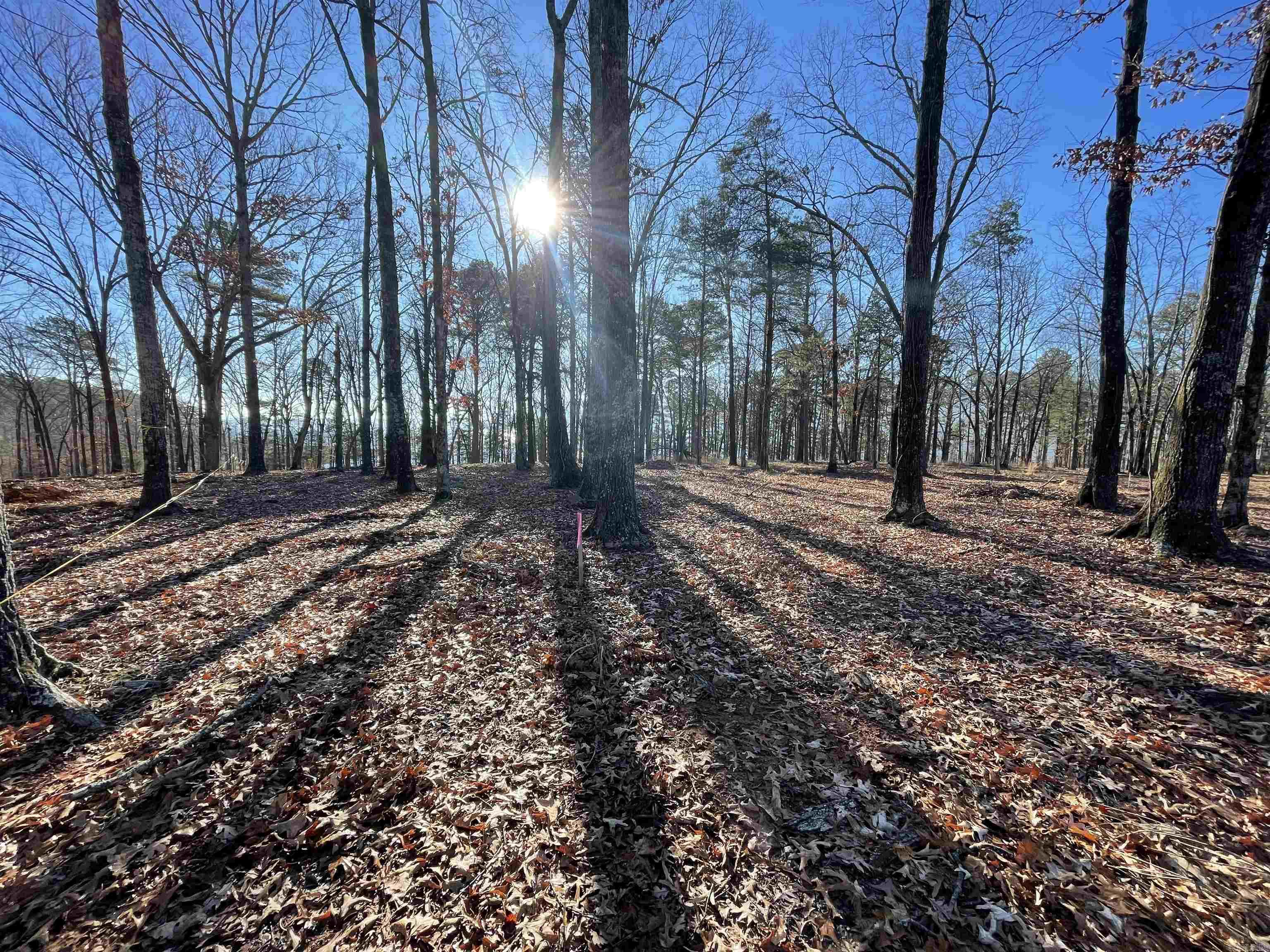 SHILOH LANDING - Land