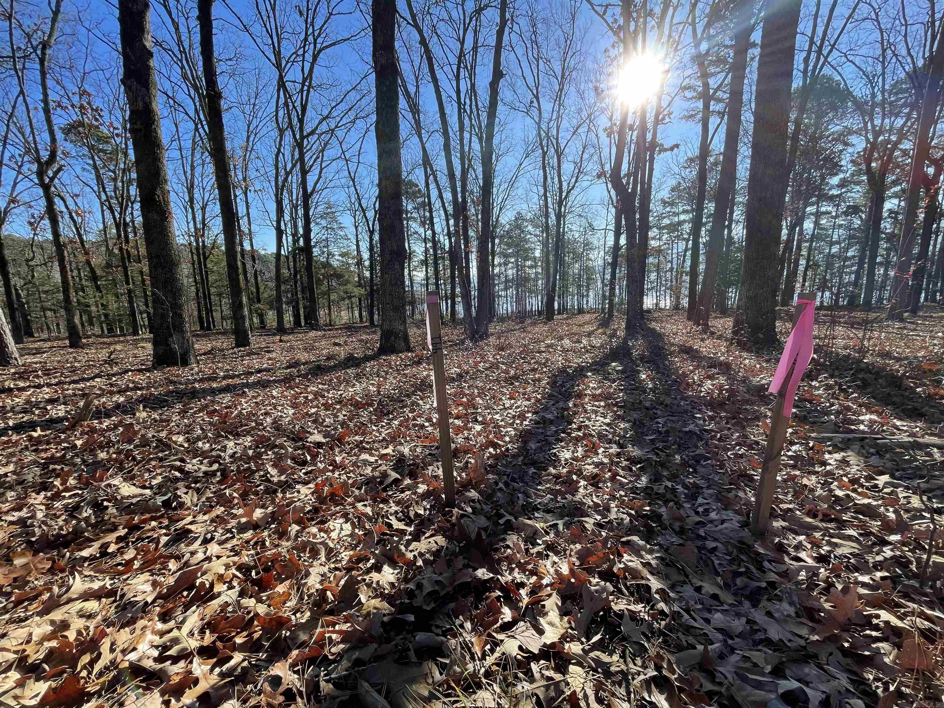 SHILOH LANDING - Land