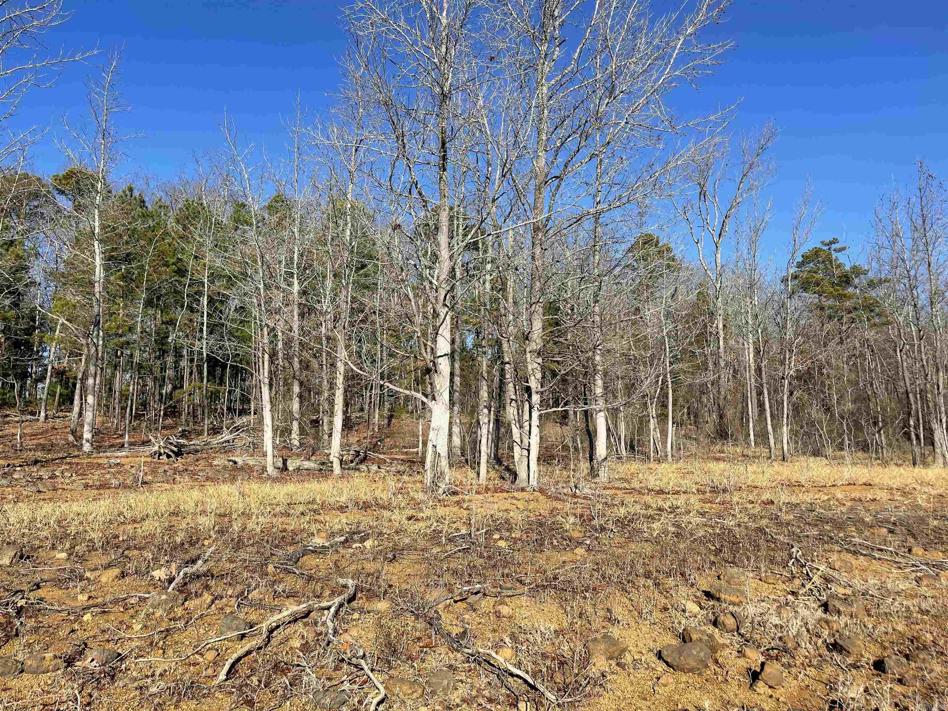 SHILOH LANDING - Land