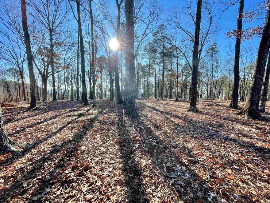 Newly developed Subdivision with neighborhood walking trail & picnic area in the works. Beautiful Lakefront lot towards the end of the cove with one brand new home already built so far located across the street. Gentle walk down to the waters edge (Mountain & Lake Views at the shoreline were taken below the White Line).  Online under docs is Septic Permit & Survey for lot 24. HOA dues have not been established yet and TBD once 50% or more of the lots have been sold.  No Mobiles allowed & no short term rentals. Minimum of 2,000 sqft. to be built & other details for restrictions included online under docs as well in the "Shiloh Landing Covenants and Restrictions".