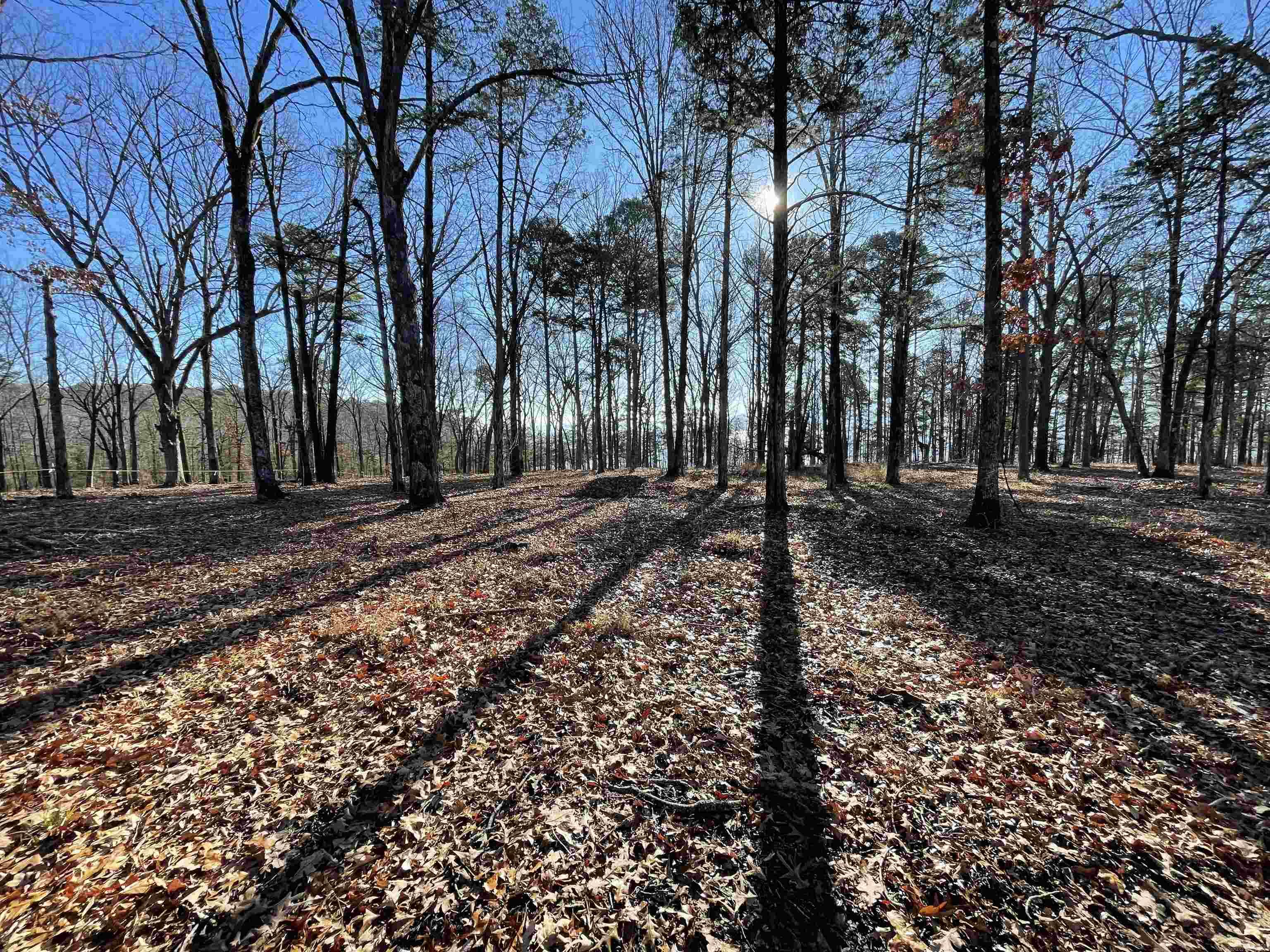 SHILOH LANDING - Land