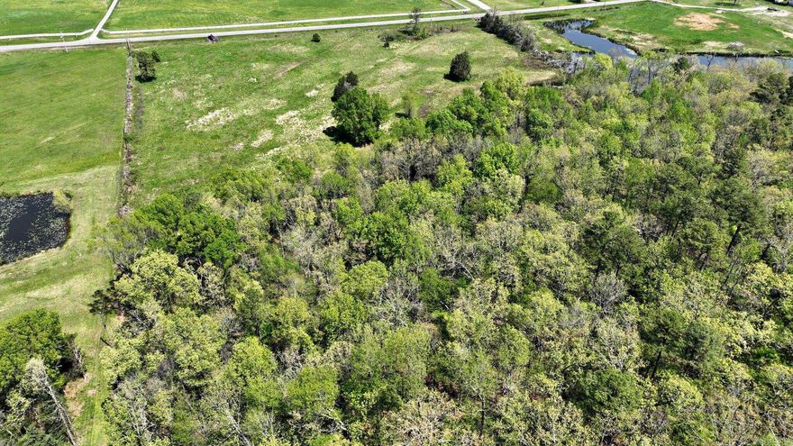 Very pretty mix of pasture and woods.  Highway frontage with mountain views.  No restrictions. Taxes are estimated and will need to be determined. Nice building site on a ridge.  The ponds shown in some pictures are on the properties to the East and West of this parcel.