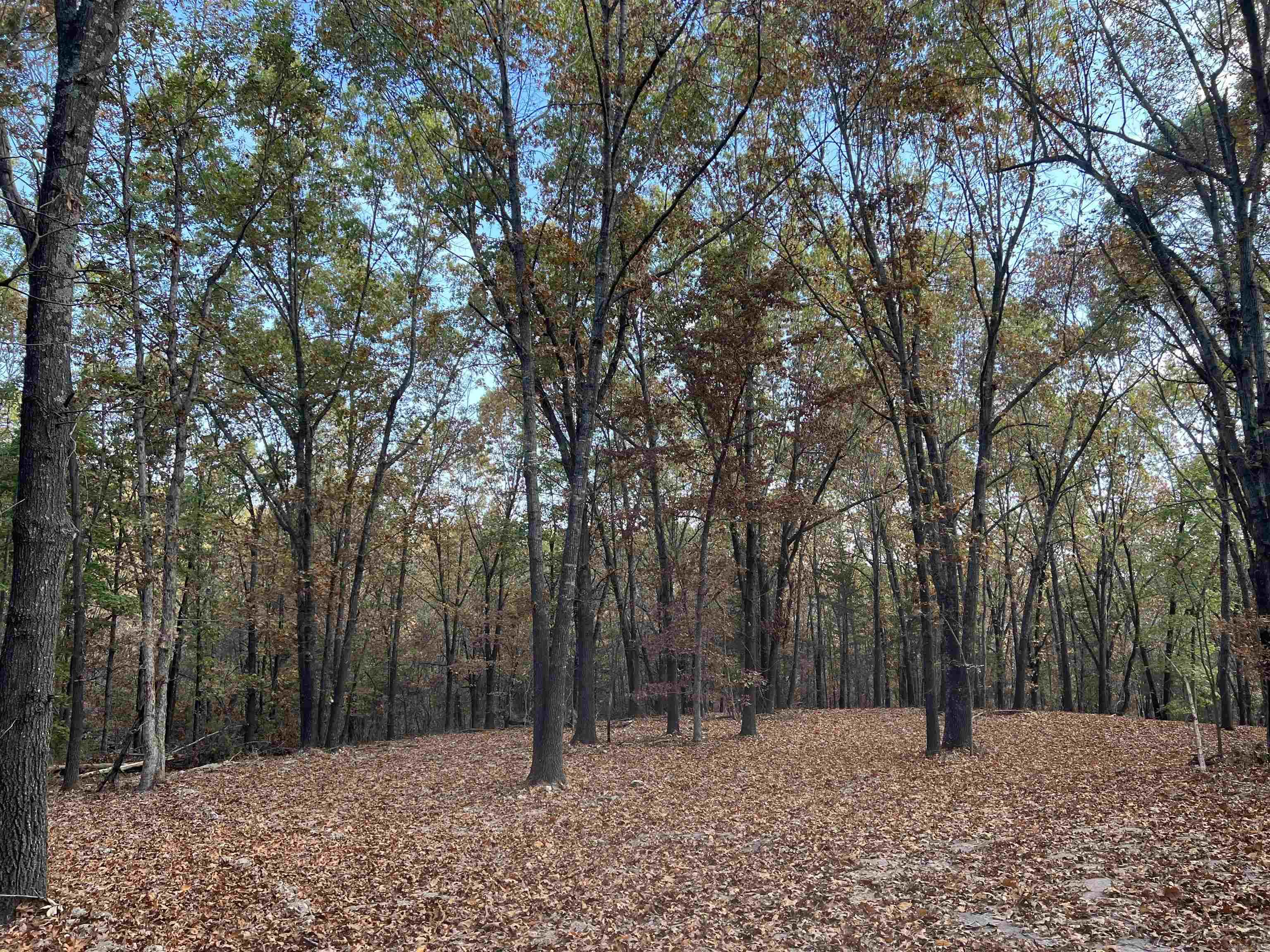 The property features a level secluded building site with lots of hardwood trees, no property restrictions, and electric is available. Call today to schedule a showing.