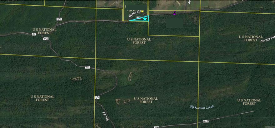This property features 4.31 wooded acres that adjoins the Ouachita National Forest and Winona Wildlife Management Area! Looking for the perfect hunting camp? Want to build your dream house surrounded by thousands of acres of National Forest? Look no further! Approx 388 yards adjoin Union Valley Road. Approx 371 yards adjoin the National Forest.   2 miles east of this property is Huston Lake, a 32 acre flood control lake offering good warmwater fishing opportunities. 2.5 miles west of this property is South Fouche Site Six Reservoir.  New survey just completed!