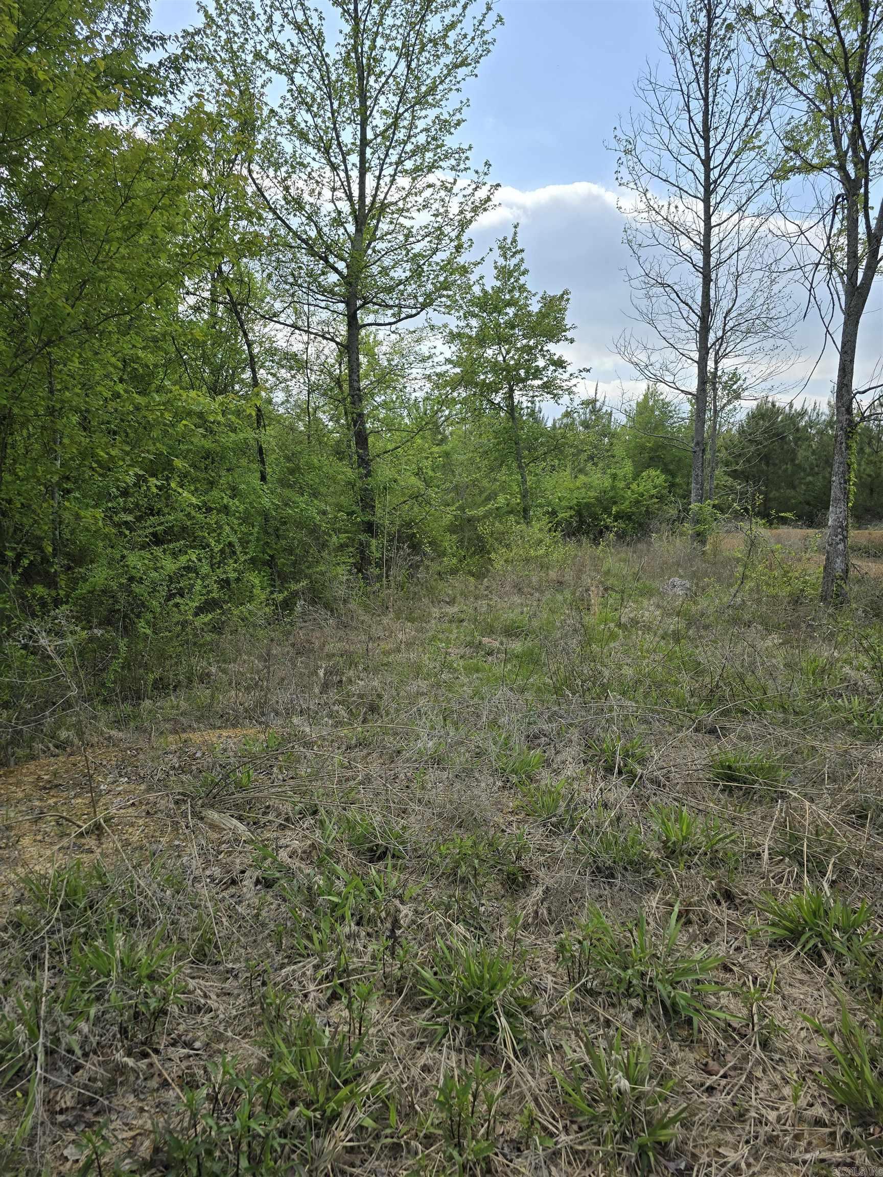 Not in Subdivision - Land