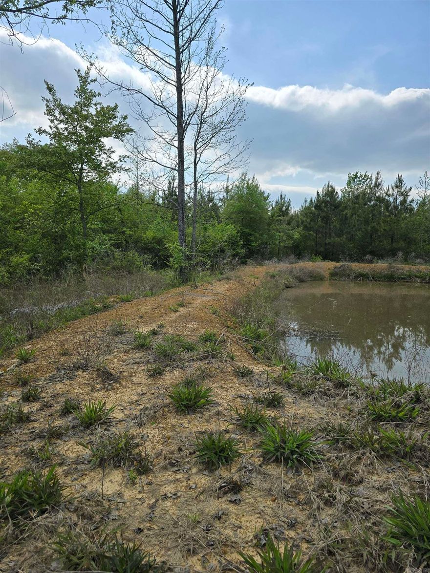 10 +/- wooded acres just minutes outside of Beebe. Property has a pond and has been partially cleared. Perfect place to build your dream home, or as an investment property. Mineral Rights do not Convey.