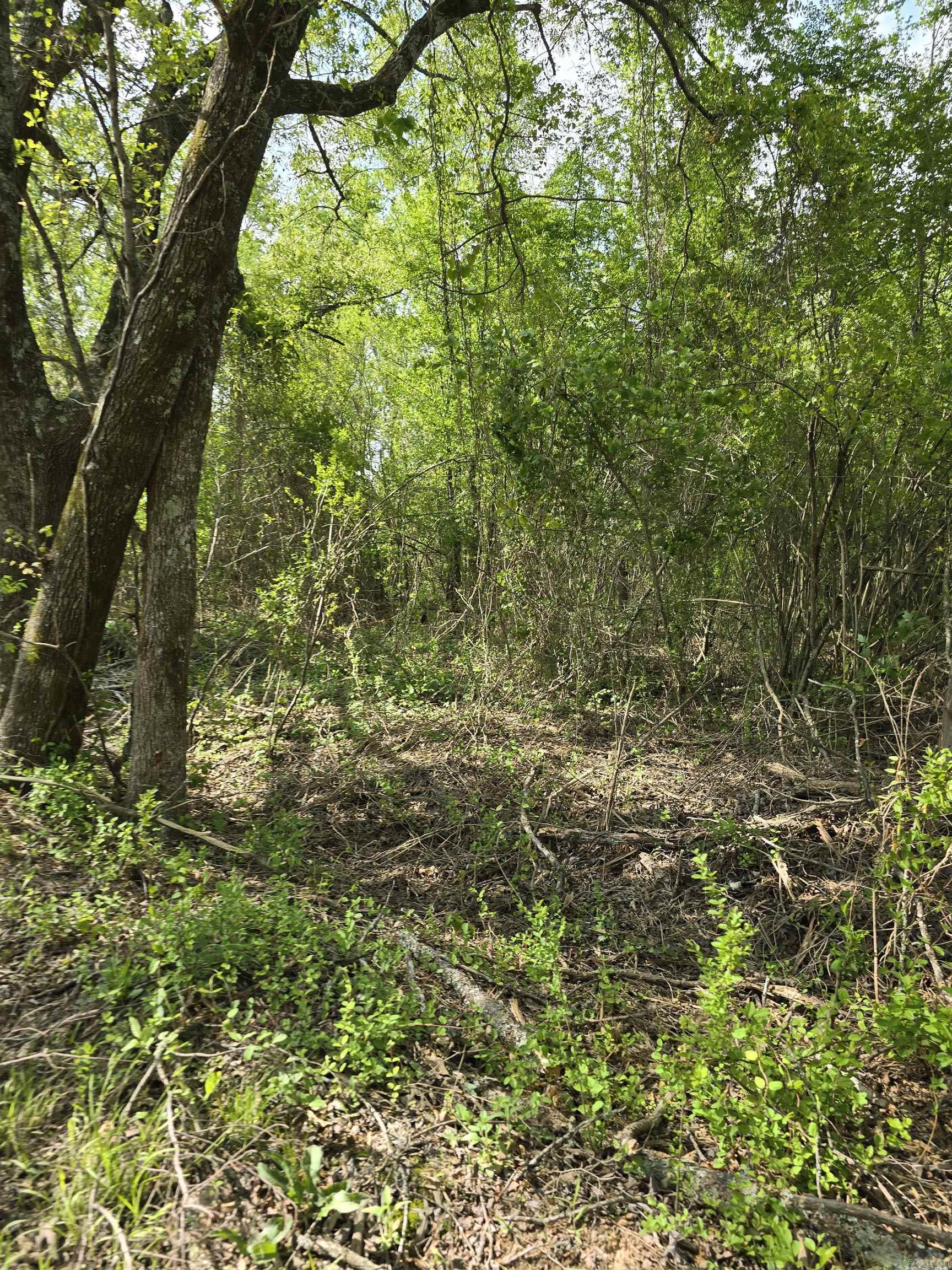 Not in Subdivision - Land