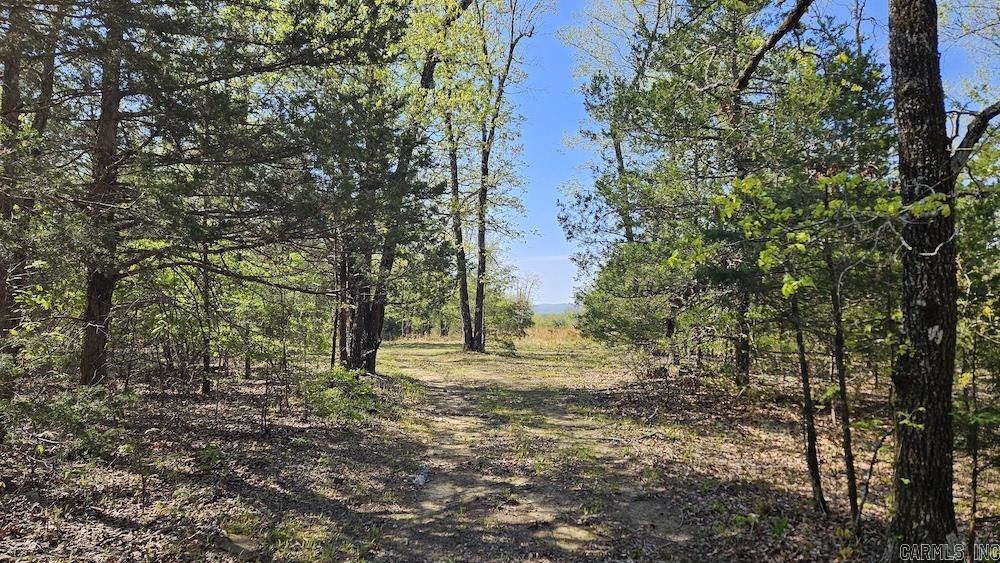 Welcome to your own outdoor haven—73 acres of prime recreational land in the scenic Ozark Mountains near Big Flat, Arkansas. This versatile property offers the perfect blend of natural beauty, seclusion, and accessibility, making it ideal for hunters, outdoor enthusiasts, or anyone seeking a peaceful escape. The land features gently rolling fields, mature hardwoods, and dense native vegetation that create excellent habitat for abundant wildlife, including established populations of deer, wild boar, turkey, and more. Two well-maintained ponds provide year-round water sources, and a strategically placed food plot is already in place to enhance hunting success. Whether you're looking to hunt, hike, camp, or simply relax, this property has everything you need. Located just a short drive from Blanchard Springs Caverns and the Buffalo National River, it also serves as a perfect basecamp for endless outdoor adventures. With easy access via nearby highways yet offering total privacy, this land is well-suited for a weekend getaway, hunting retreat, or future cabin site. Don’t miss this rare opportunity to own a piece of Arkansas’s most beautiful and wildlife-rich countryside.