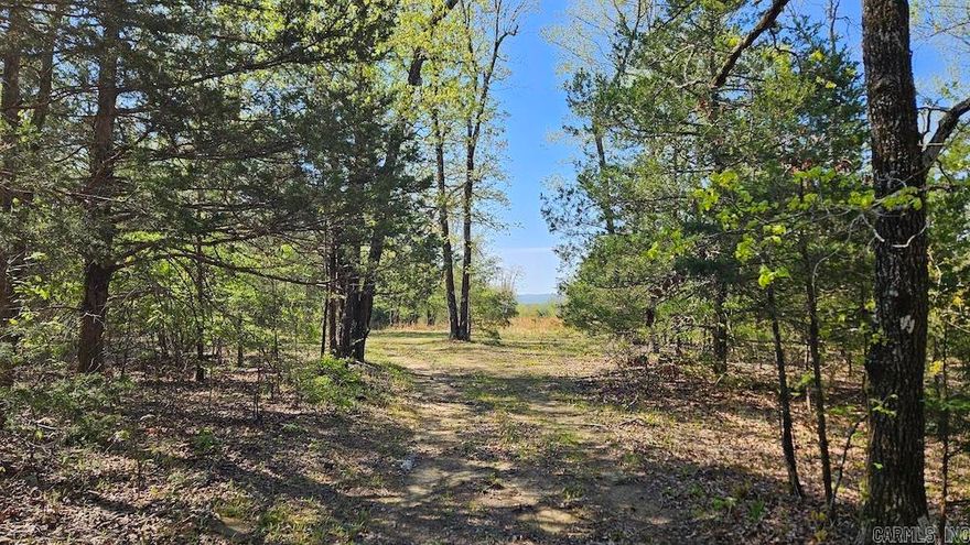 Welcome to your own outdoor haven—80 acres of prime recreational land in the scenic Ozark Mountains near Big Flat, Arkansas. This versatile property offers the perfect blend of natural beauty, seclusion, and accessibility, making it ideal for hunters, outdoor enthusiasts, or anyone seeking a peaceful escape. The land features gently rolling fields, mature hardwoods, and dense native vegetation that create excellent habitat for abundant wildlife, including established populations of deer, wild boar, turkey, and more. Two well-maintained ponds provide year-round water sources, and a strategically placed food plot is already in place to enhance hunting success. Whether you're looking to hunt, hike, camp, or simply relax, this property has everything you need. Located just a short drive from Blanchard Springs Caverns and the Buffalo National River, it also serves as a perfect basecamp for endless outdoor adventures. With easy access via nearby highways yet offering total privacy, this land is well-suited for a weekend getaway, hunting retreat, or future cabin site. Don’t miss this rare opportunity to own a piece of Arkansas’s most beautiful and wildlife-rich countryside.