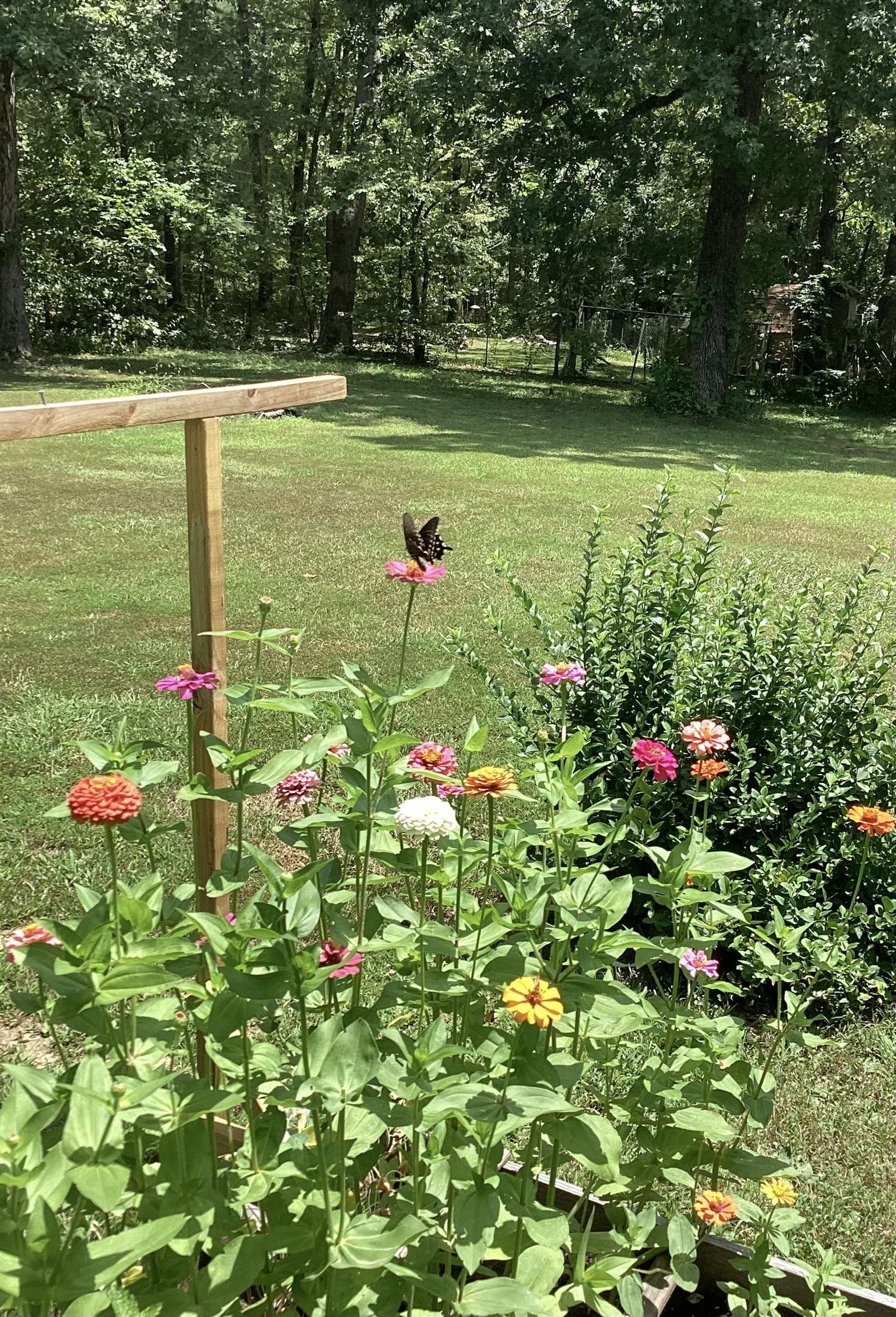 KIMA THIRD - Residential