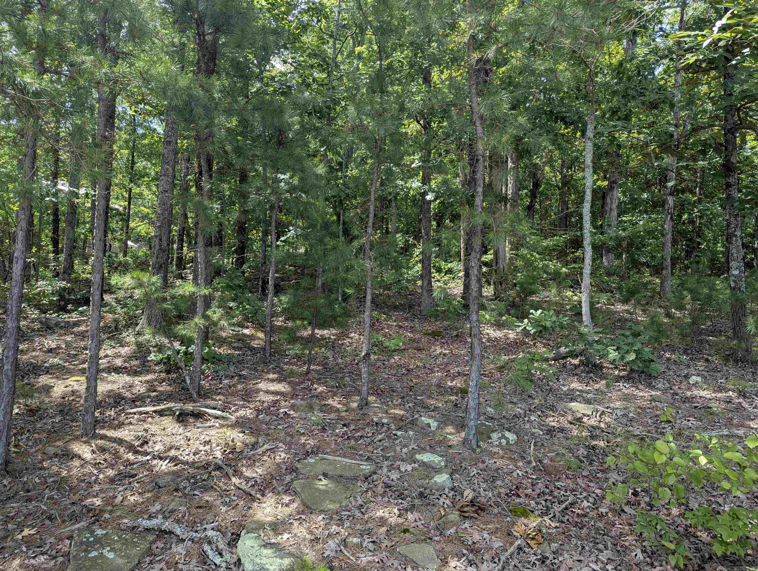 Diamond Bluff Estates - Land