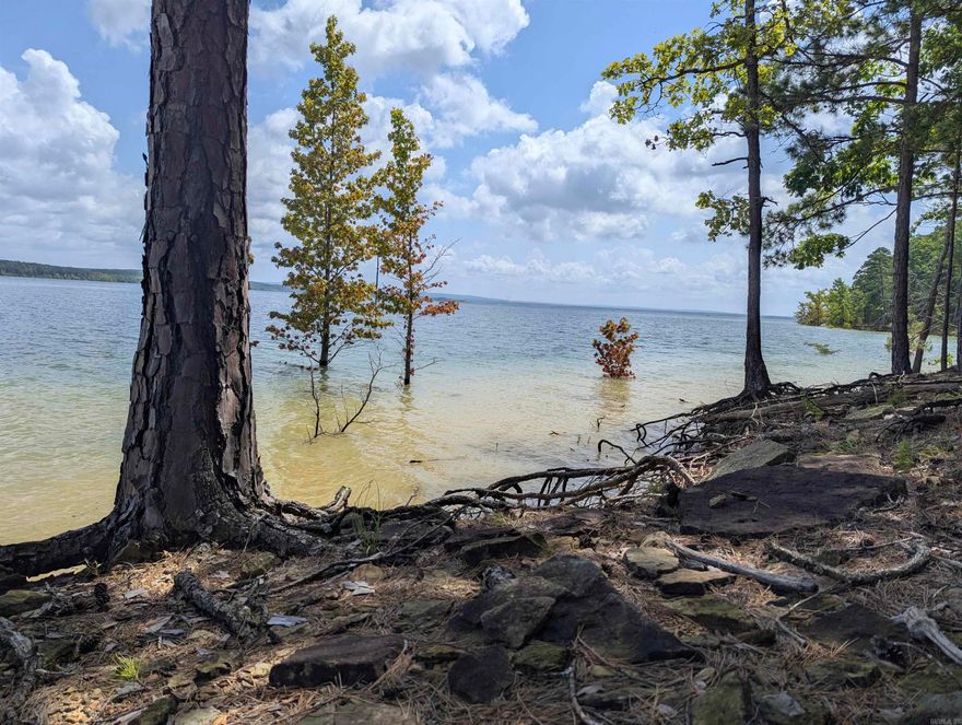 WHITE LINE IN THE WATER! This beautiful vacant lot on Greers Ferry Lake is build ready with water, electric and community sewer. White line in the water means that the owner can clear trees all the way down! This is a great lot!
