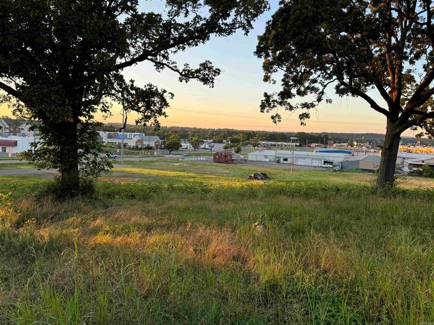 ATTENTION INVESTORS! Will SUBDIVIDE! An incredible opportunity awaits with this prime commercial property located along Highway 9 B.  Spanning 8.33 acres, this parcel boasts excellent development potential and is situated in an Opportunity Zone. Adjacent to prominent retailers such as Walmart, this property boasts highway frontage, providing unmatched visibility in a bustling, high-traffic area.  Ideal for a range of ventures, including restaurants, retail outlets, medical facilities, storage units, senior living accommodations (proximity to hospital and medical services), and apartments (in a bustling college town with easy access to Conway and Russellville). Further expansion opportunities abound with an additional 11.52 acres available for development, offering options for re-zoning and highlighting stunning topography for picturesque views. This property is situated less than 3 minutes from I-40, providing excellent access to both residents and businesses in Russellville, Conway, and the Little Rock area. Do not miss this rare chance to invest in a thriving location with endless potential!