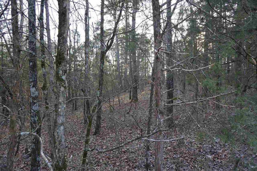Two beautiful adjoining wooded lots with some lake view at the end of a cul-de-sac.  Utilities available, paved streets.  To be sold together, not offered individually.