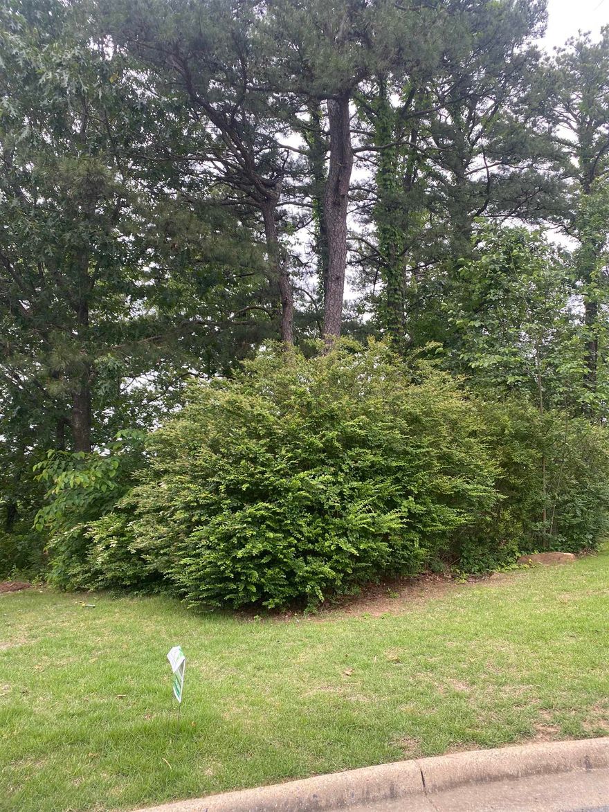 Large pie shaped lot in the culd-de-sac