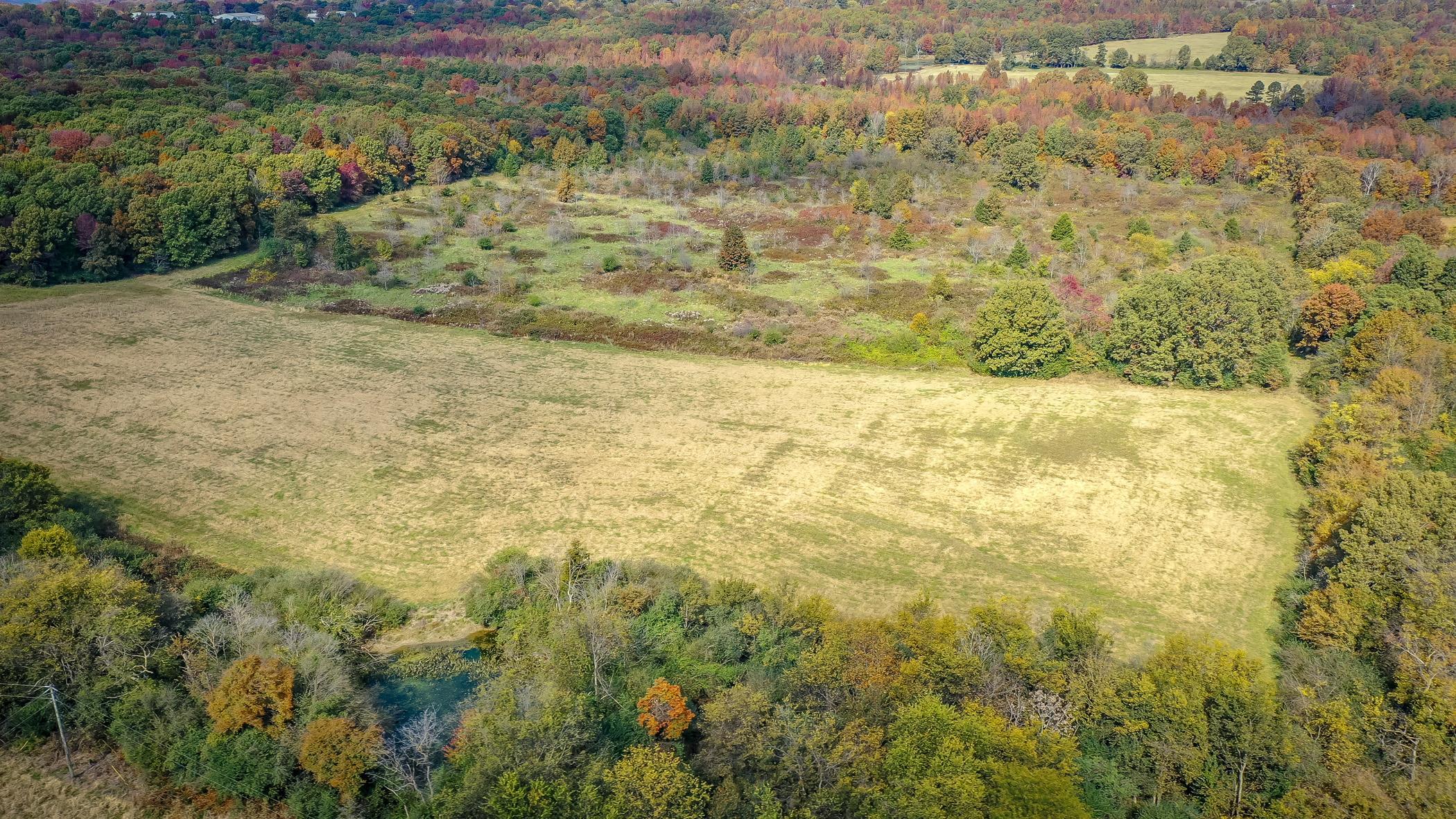 Metes & Bounds - Commercial Sale