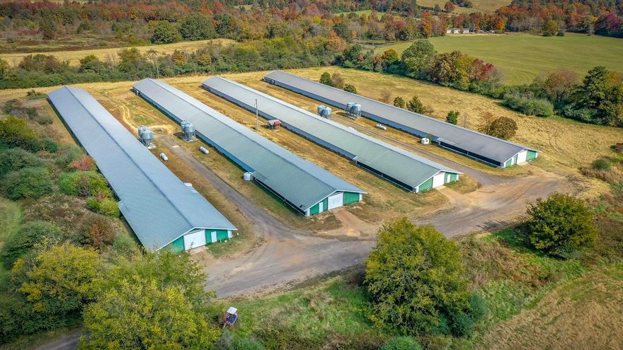 Here’s a great opportunity to work from home and enjoy the farm life! This beautiful 82-acre farm is fully fenced and cross-fenced, featuring 3 ponds and an old homestead. The property includes four 40 x 450 chicken houses and a spacious 5-bedroom, 3-bath modular home with a brand new HVAC system (2024).  Inside, you’ll find plenty of room to spread out, plus an incredible hidden-door pantry in the kitchen. With fruit trees, rich pastures, and serene pond views, this property is ideal for those seeking a balance of work and farm living.