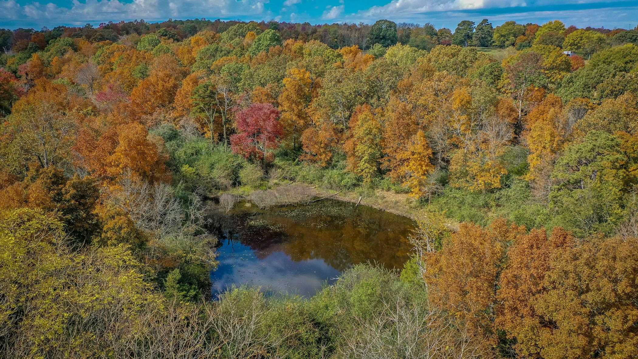 Metes & Bounds - Commercial Sale