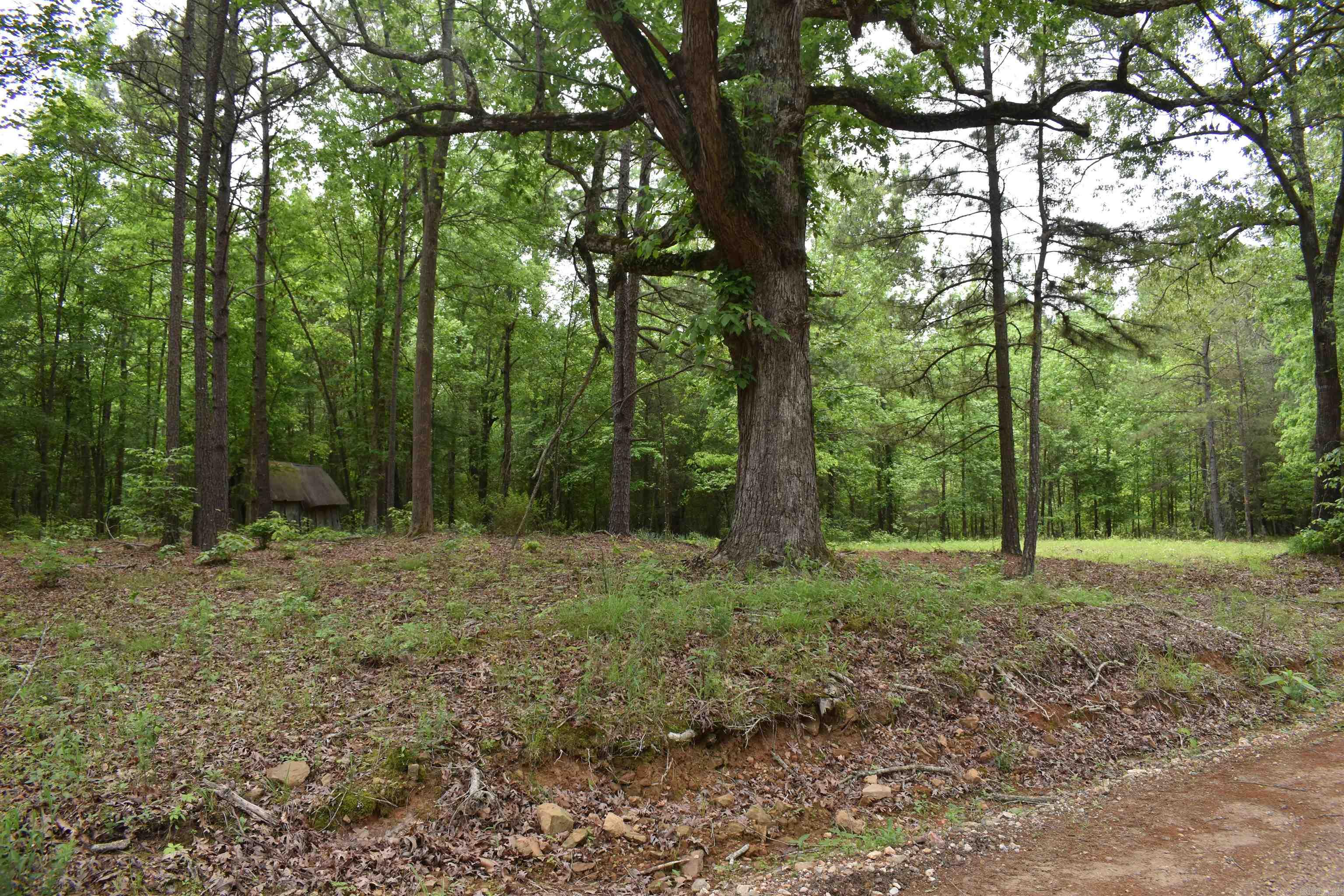 Located just 5 minutes from Amity, this 77 +/- acre tract is ready for its new owner! The acreage sprawls across a variety of topography, with rolling hills covering the property. Mature timber and old growth oak trees cover the landscape, creating a picturesque setting for hunting or a homesite. An excellent trail system throughout the property makes access to the land a breeze, and making perfect stand locations pinch points. A nice pond is centrally located on the property as well. Frontage on Cantrell Road gives the property great access, and there are build sites in multiple locations, both close to the road and farther into the property. If you are looking for a hunting property, or acreage to build a home that is not too far from town, you won’t want to miss this one. • 77 +/- Acres • Mature Timber • Excellent Trail System throughout property • Pond • County Road Frontage • Power available • Build sites • Deer Hunting • 5 Minutes from Amity • 10 Minutes from Glenwood