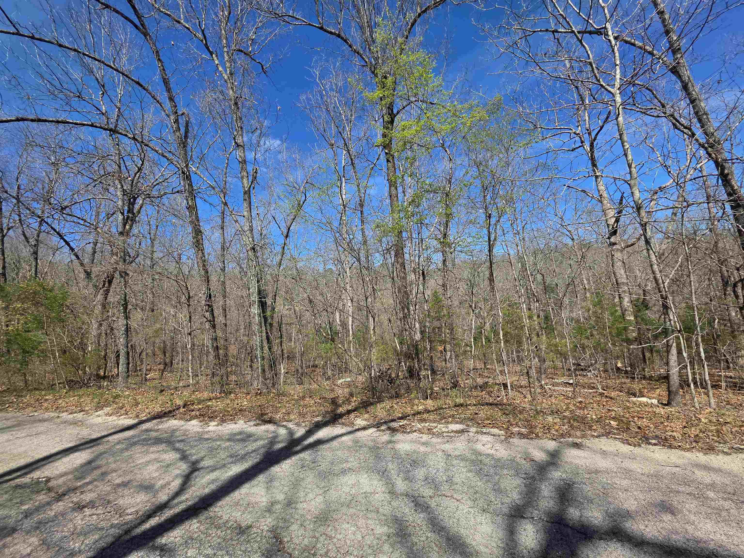 Seminole Second - Land