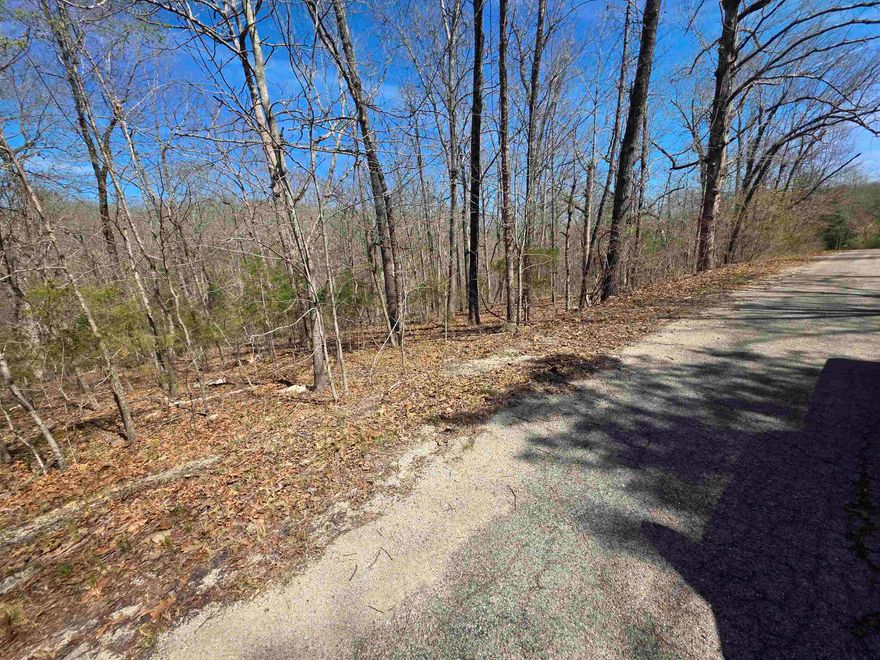 Nice lot with a front to back downward slope. Somewhat secluded but near the front of the Village entrance.  Lots of trees and lots of nature and wildlife. Come check this lot out, check out the view and see where you want to put your vacation home or your forever home. Retire here and fish 7 different lakes and golf 2 different 18-hole golf courses. Don't forget about the beautiful South Fork River that flows right through the Village. Shop in Old Hardy town and trout fish the Spring River. That's living the Cherokee Village lifestyle.