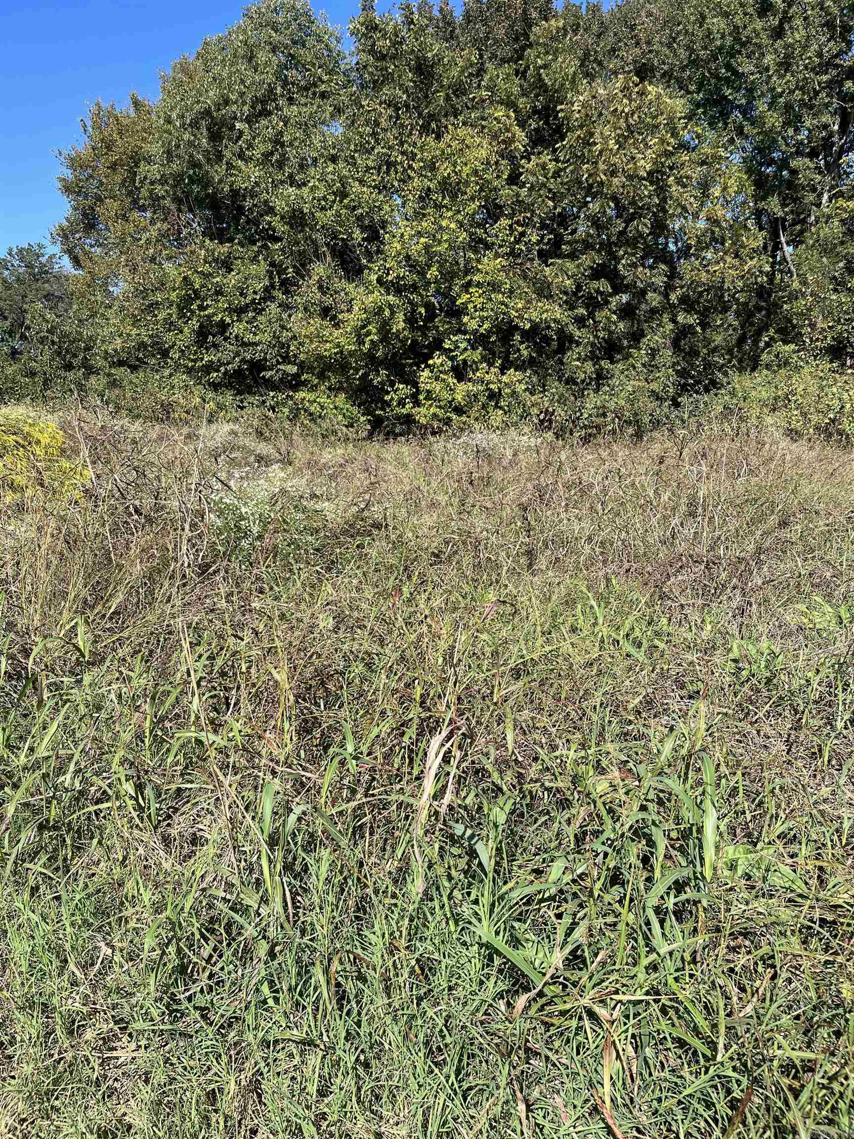 OT Carlisle City - Land