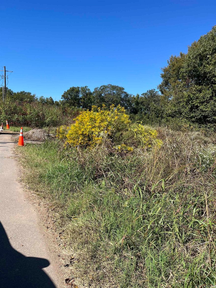 Perfect spot to build your dream home, duplexes, or tiny homes. There are 2 lots that can be purchased together for more possibilities. Water, Gas, and Electricity available.