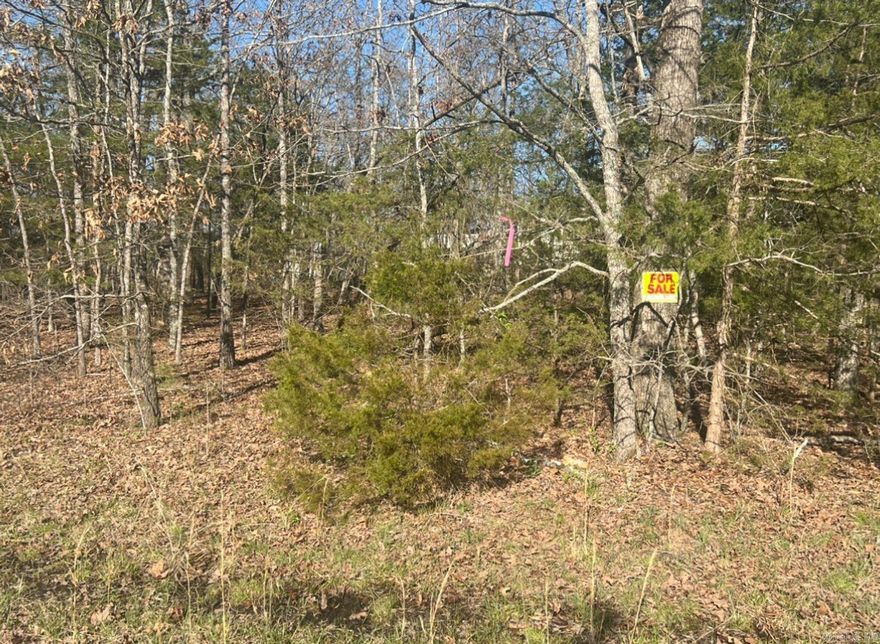 Owner financing available-  This 150 x 75 lot is walking distance to North Lake, Bass Lake and 2 parks! Come and enjoy the gorgeous view and a slower pace of life.  Horseshoe Bend has so much to do for the whole family like fishing, canoeing, golfing, bowling, swimming, etc. Diamond Lake & Crown Lake are a 10-minute drive from these lots! Crown Point Resort is also 10-minutes offering local jobs and entertainment!  Horseshoe Bend is also ATV friendly, with a permit. They have their own law enforcement, a private airport/airport strip, recycling center, and TELECARE program for the elderly. All within 10-minutes!