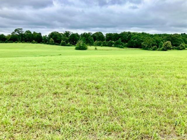 Nice level ground been used for hay ground for years. On west end a few woods and creek. Great opportunity to create a nice little farm.