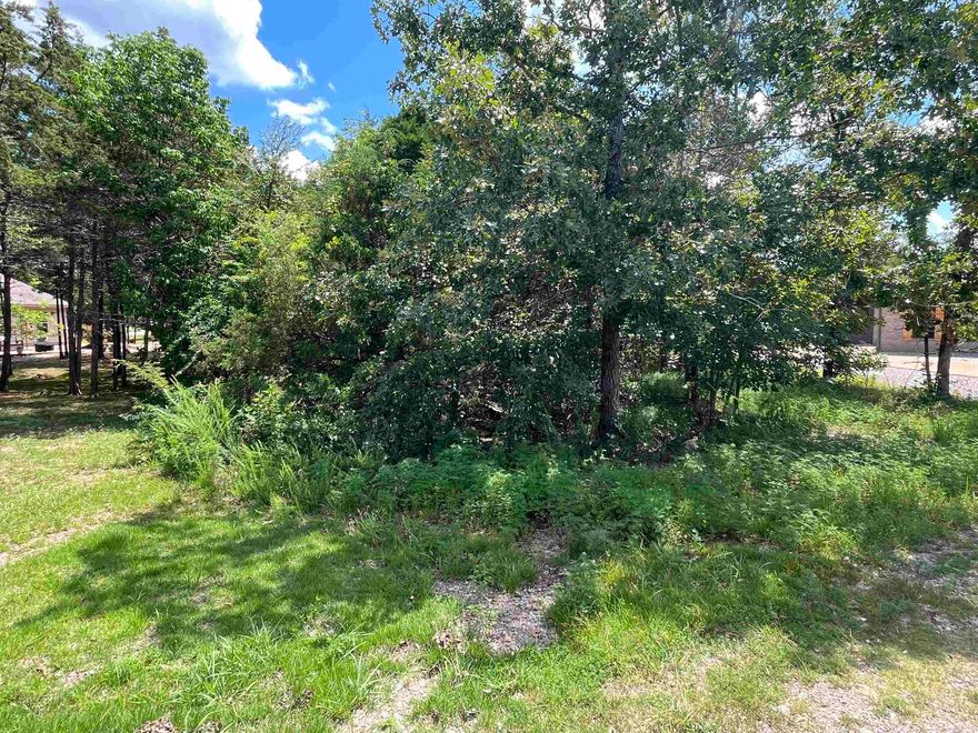 Your Dream Retreat in Hot Springs Village starts here!  This beautiful lot offers a spacious, level building site—ideal for your custom dream home or getaway. Set in a peaceful, established community with scenic views and easy access to both Danville and Balboa gates, this location combines privacy with convenience.  Just minutes from Balboa and Coronado Golf Courses, the Balboa Marina, restaurants, and more, you’ll enjoy all the benefits of Hot Springs Village living. There’s plenty of room to design a home with expansive outdoor living areas in this prime setting.  Hot Springs Village features 9 golf courses, 11 lakes for boating and fishing, 30+ miles of walking trails, tennis, pickleball, playgrounds, dining, medical services, and shopping. Whether you're seeking recreation, relaxation, or both—it’s all here.  Permanent residents may qualify for a $500 Homestead Tax Credit after building. Don’t miss this chance to own in one of Arkansas’s most desirable gated communities. Schedule your private tour today and start planning your perfect retreat!