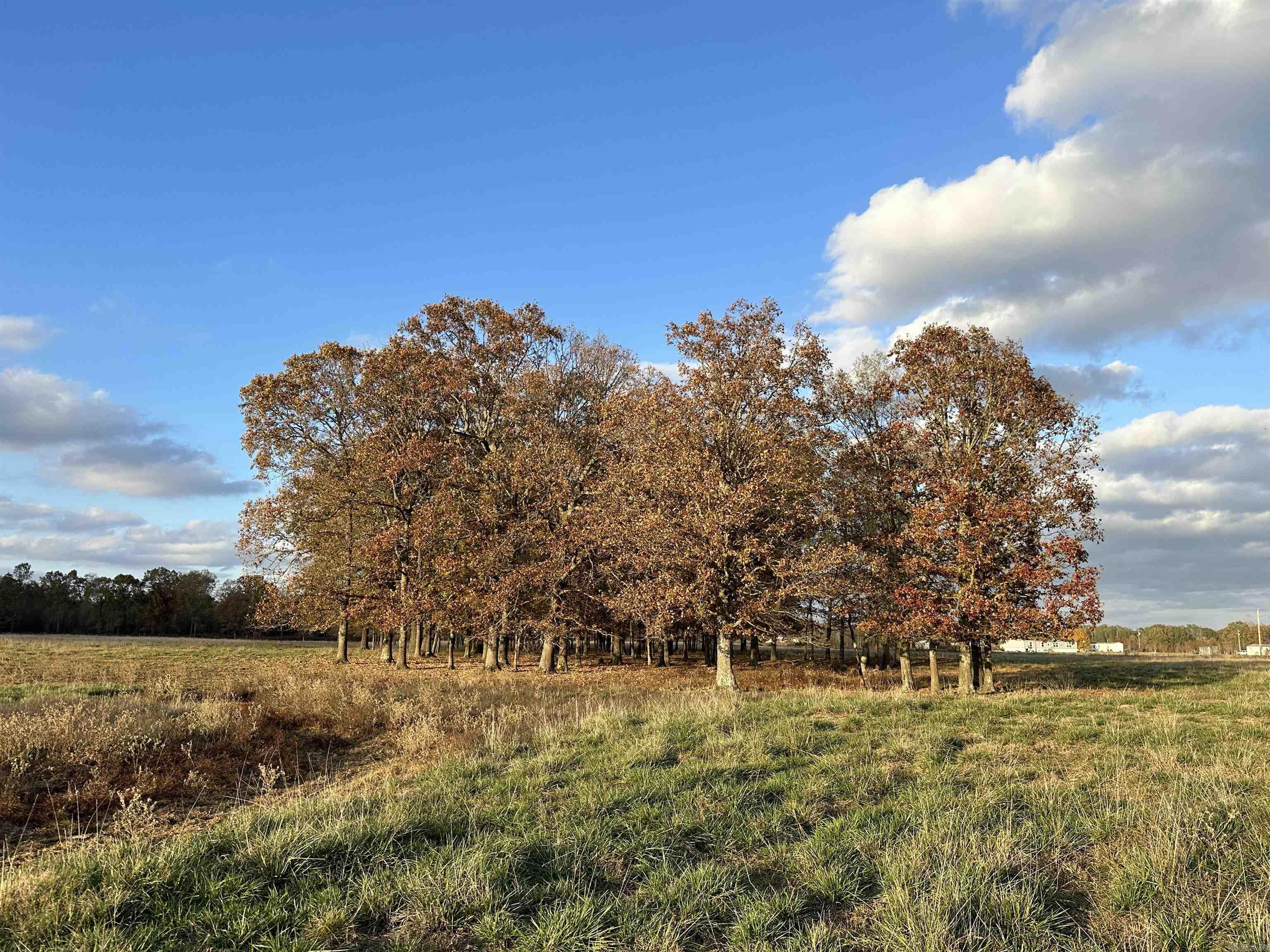 Metes & Bounds - Farm