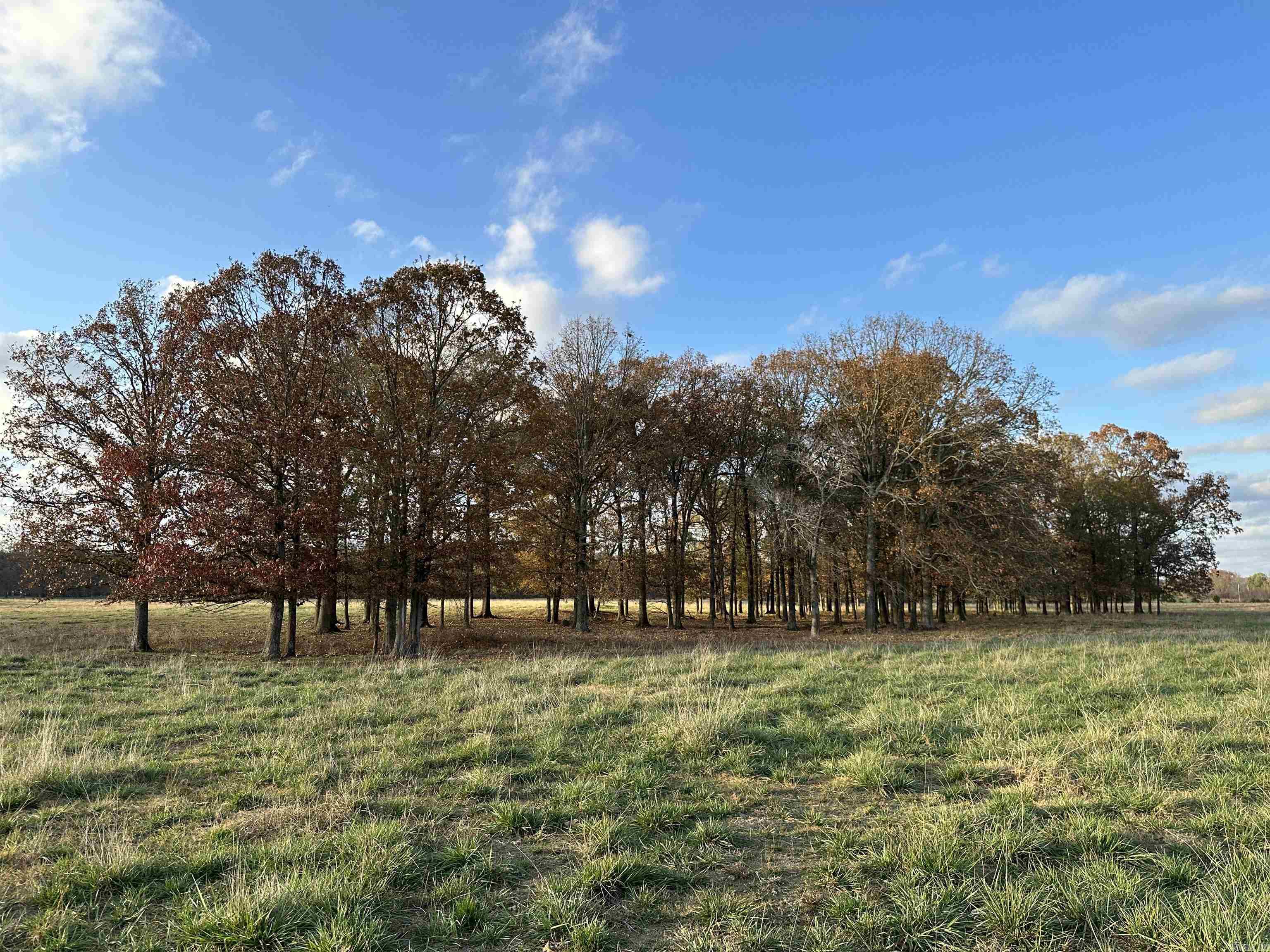 Metes & Bounds - Farm