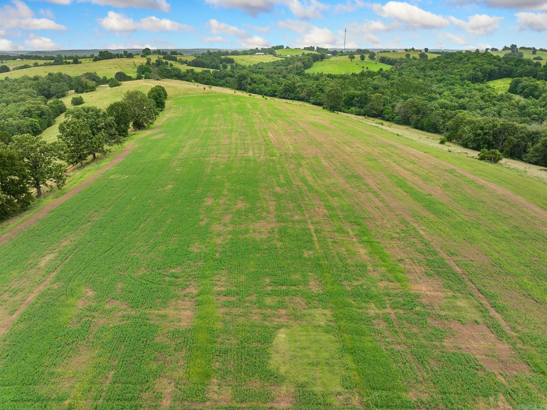 Great location on this 360 acre Ozark Farm waiting for you to customize to your liking. Open and wooded, 70's vintage ranch home with basement, older dairy barn, hay/equipment barn, shed, fenced and crossed fenced corral, ponds, springs, wildlife and views! In the heart of the Ozarks within an hour or less of Table Rock, Taneycomo, and Bull Shoals Lakes, the White and Buffalo Rivers, and many fishing, camping, hiking, and sigh seeing venues. Within minutes of Crooked and Clear Creeks. Approx. one hour to Branson Mo and Eureka Springs AR is slightly over an hour. A great place to live, ranch, hunt, and enjoy the life the Ozarks has to offer.