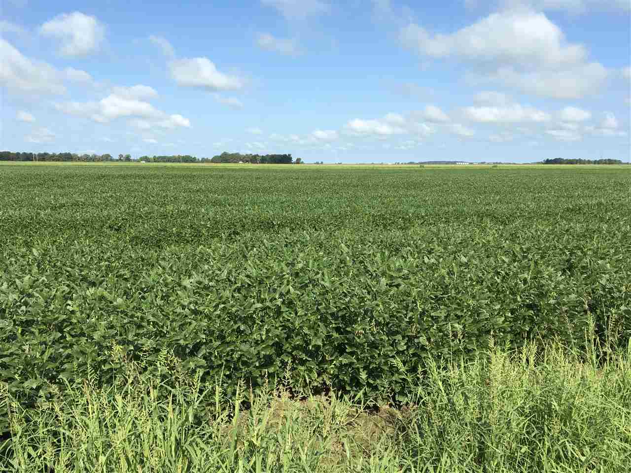 Metes & Bounds - Farm