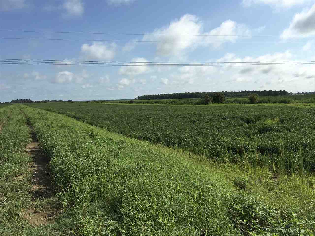 Metes & Bounds - Farm