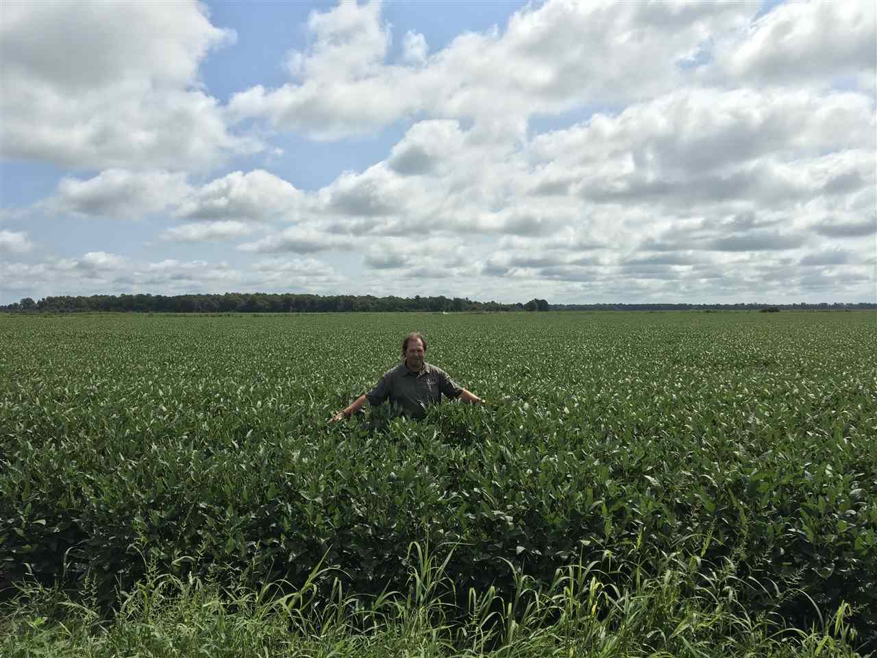 Metes & Bounds - Farm