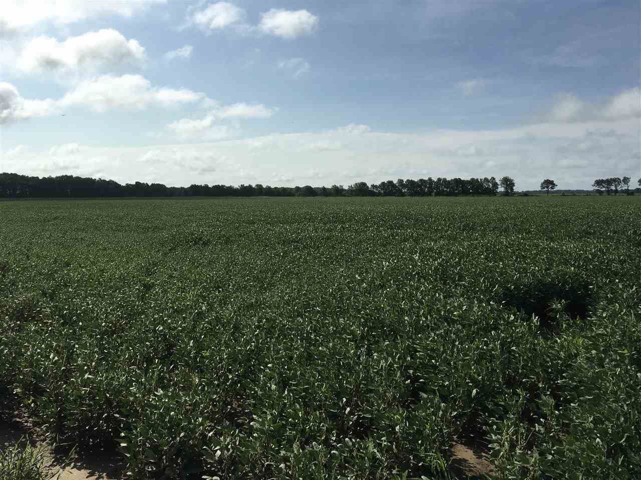 Metes & Bounds - Farm