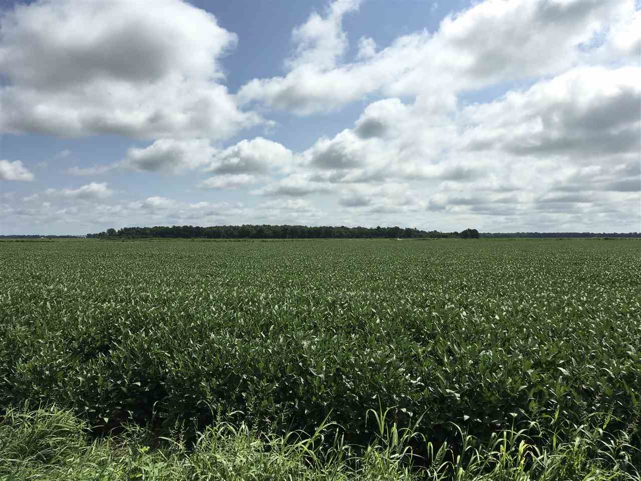 Metes & Bounds - Farm