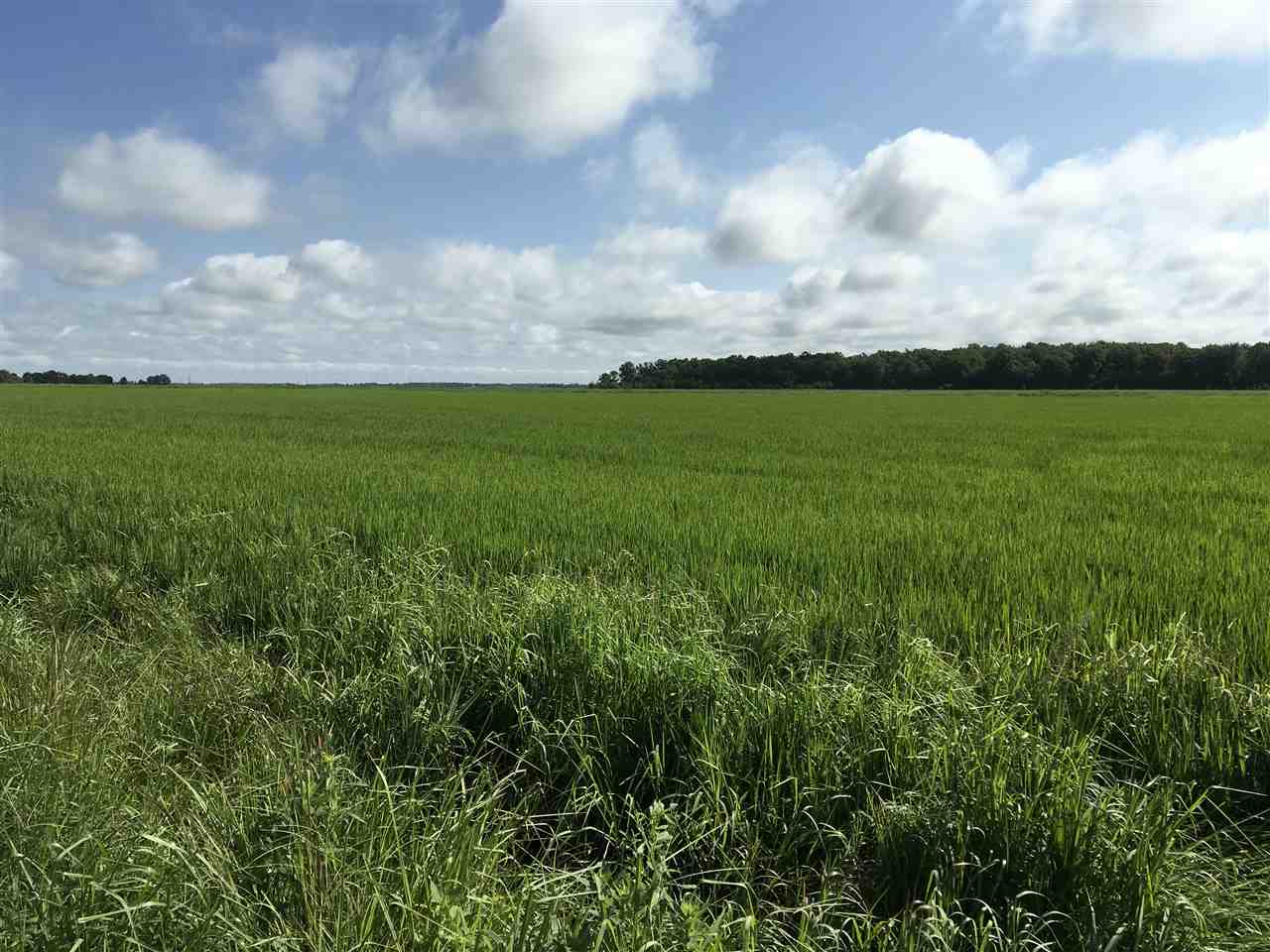 Metes & Bounds - Farm
