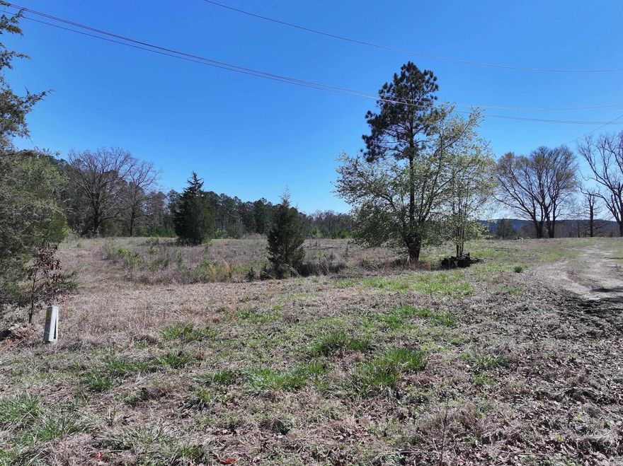 Discover the possibilities with this 25± acre property on Richardson Road in Amity, AR, offering a beautiful blend of wooded and open land. The property features a pond and mountain views, creating an excellent rural setting that’s perfect for enjoying nature.  With a mix of cleared and wooded acreage, the land provides multiple potential building sites and plenty of room to create your ideal setup. Whether you're looking to build your dream home, start a homestead, enjoy recreational use, or establish a private hunting retreat, this property offers the space and flexibility to make it your own.  Located in a countryside setting while still being within driving distance of local amenities, this property combines privacy, natural beauty, and opportunity.