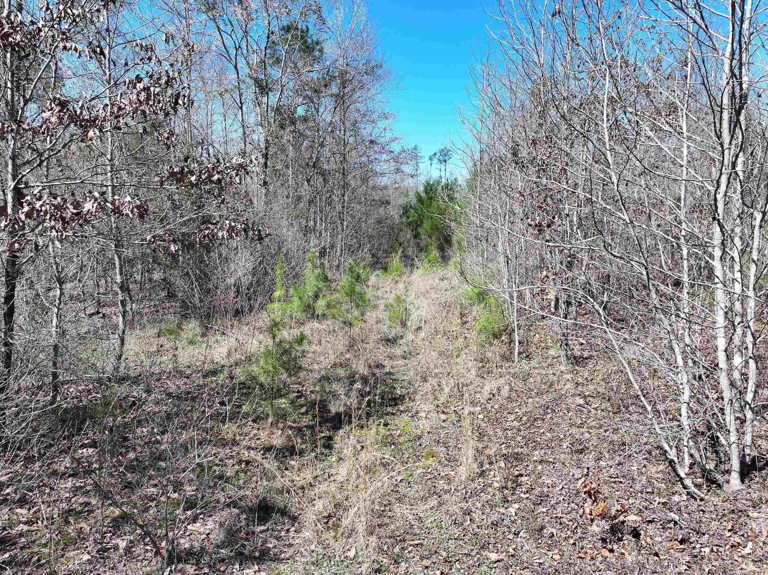 Metes & Bounds - Land