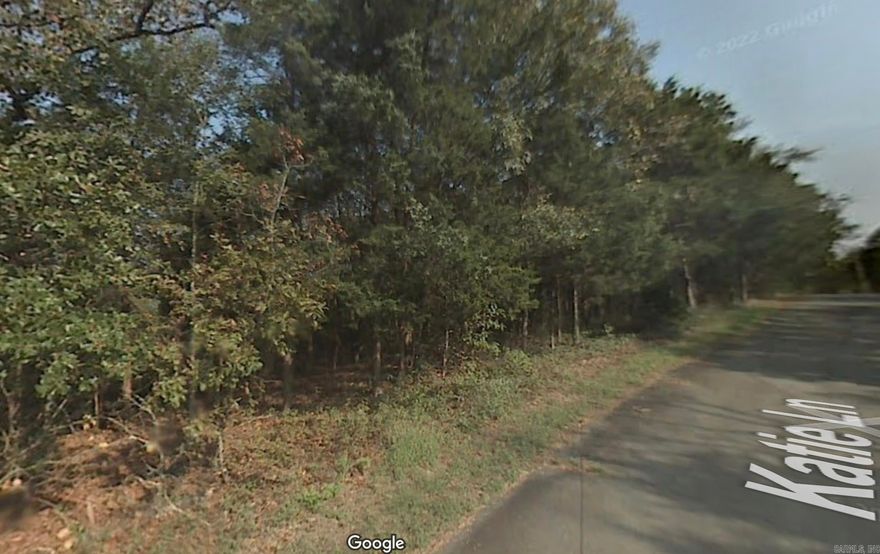 Beautiful lot with views of the Arkansas River.