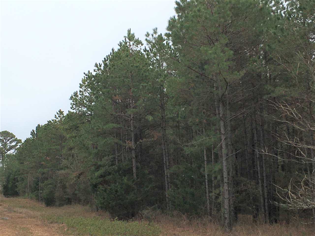 Metes & Bounds - Farm