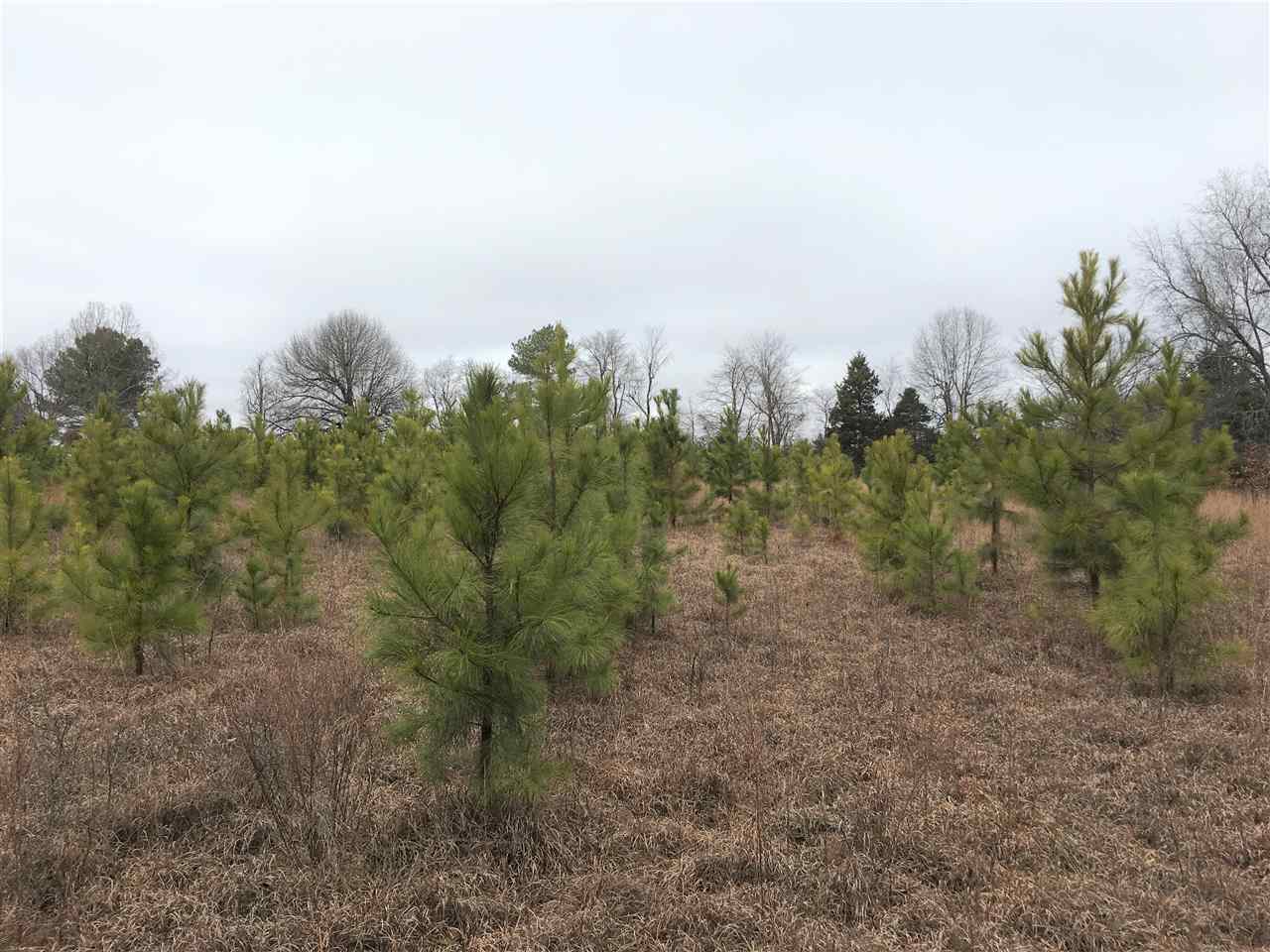 Metes & Bounds - Farm