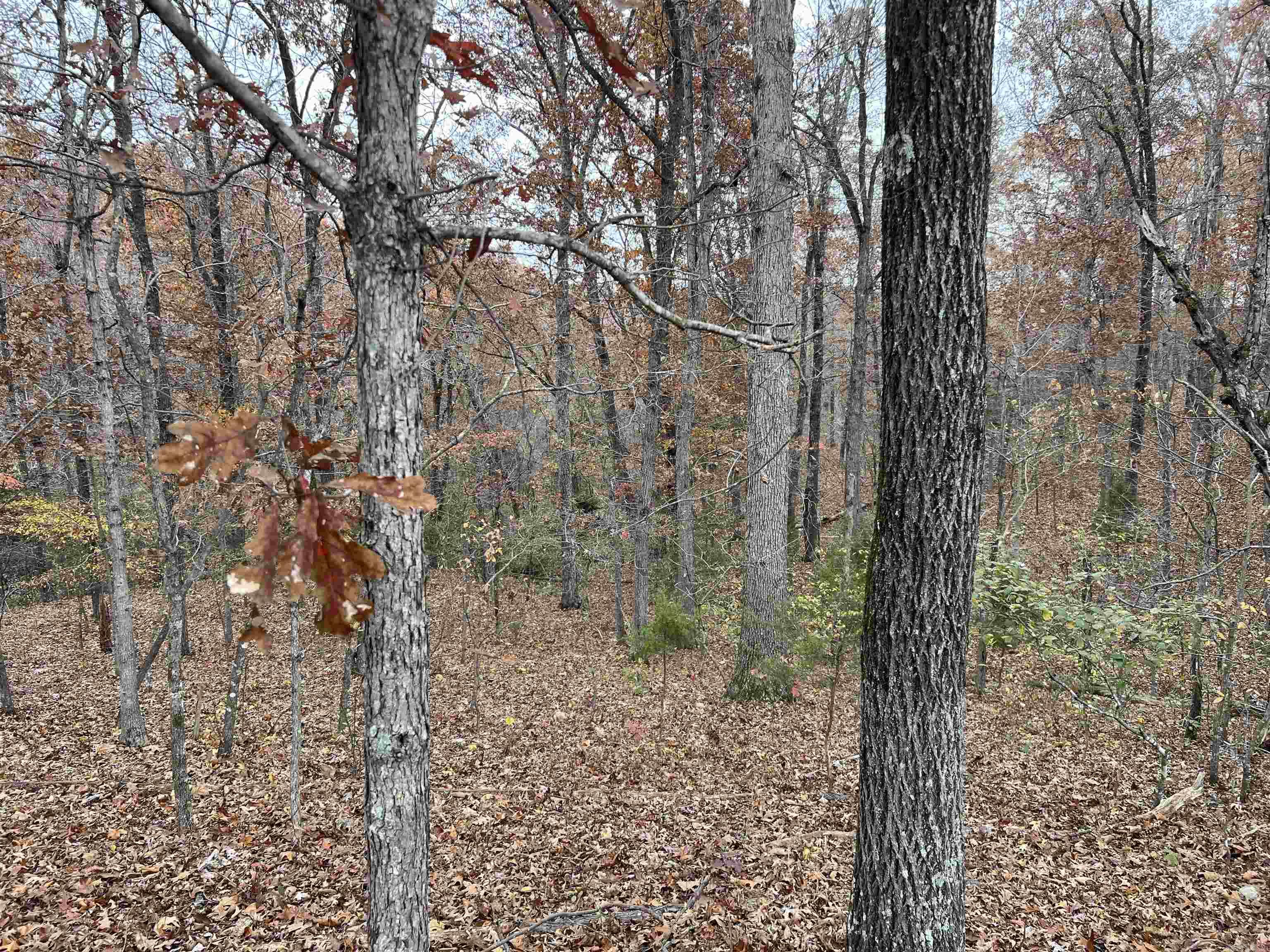 Not in Subdivision - Land