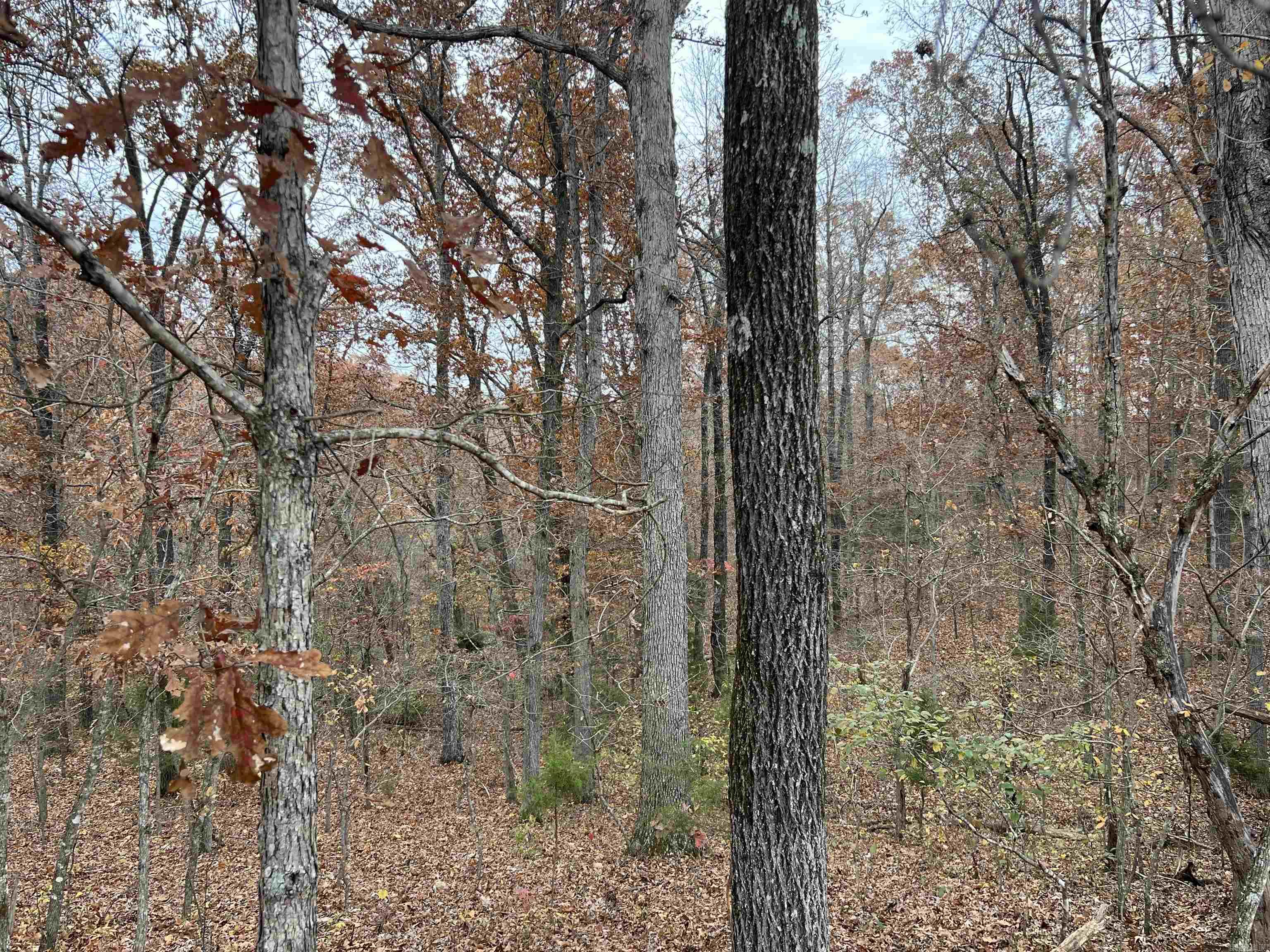 Not in Subdivision - Land