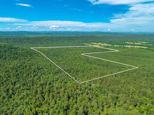 141 KINSEY MOUNTAIN RD, ROYAL, AR 71968 - Image 0b598c3a3f5efd0e5ff25dc694be45d4/455932835
