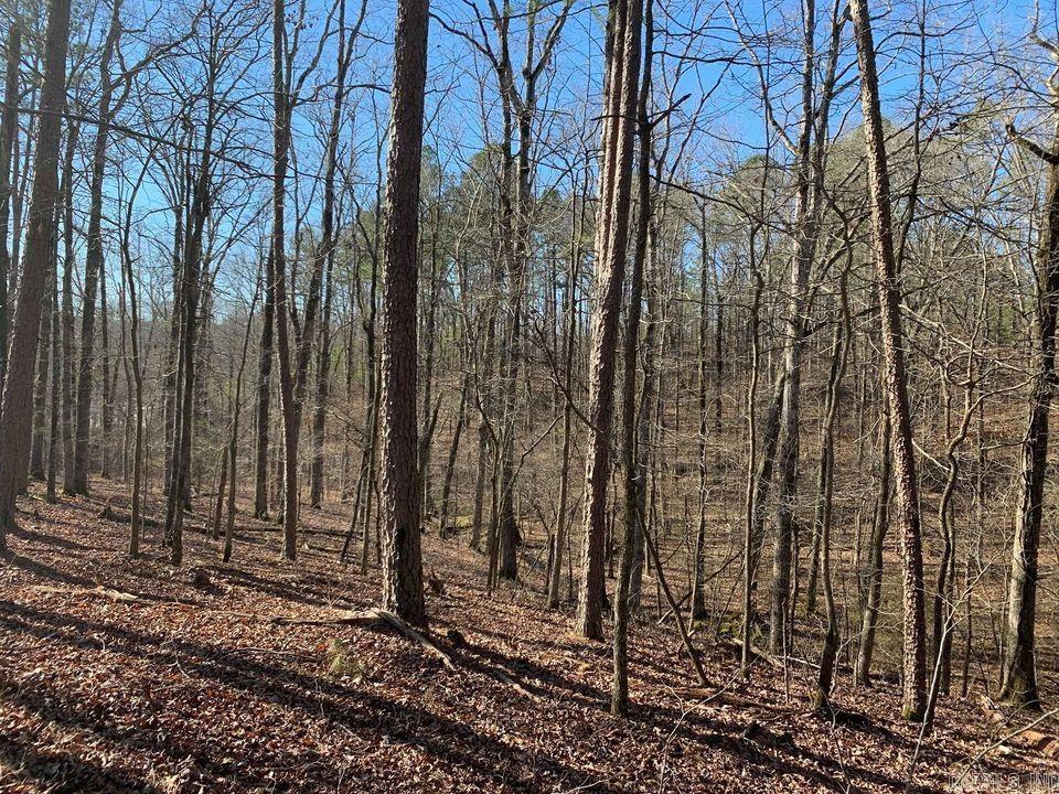 Kingsway Estates - Land