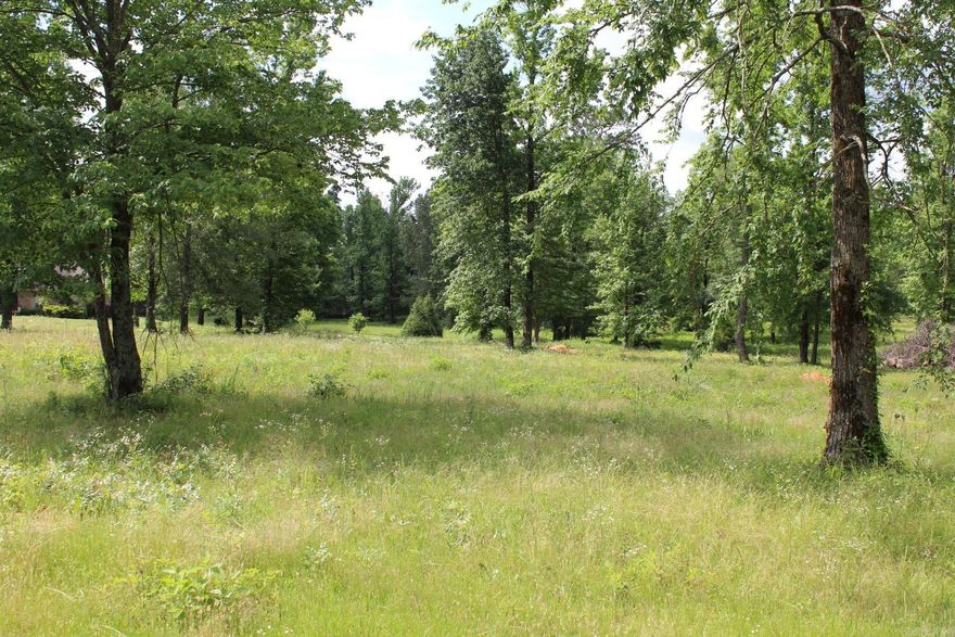 GREAT HOME SITE Listing Agent: Melinda Bennett - 870 451 2226